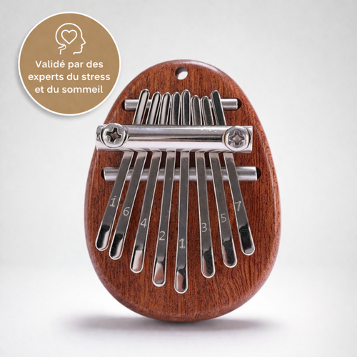 Kalimba Velora™ | 8 lames, carnet des 30 chansons offert, première chanson le soir même