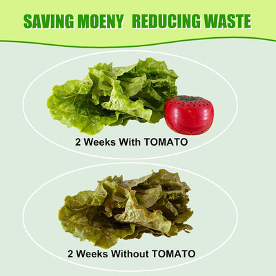 Velora Produce Saver - Keeps Fruits & Vegetables Fresh Longer