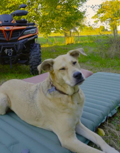 Velora Bivouac™ | Le matelas de camping qui transforme vos nuits en tente en vraies nuits de sommeil