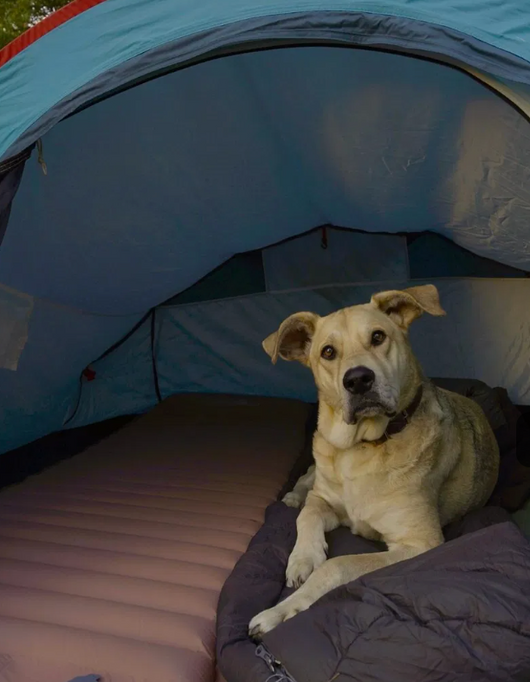Velora Bivouac™ | Le matelas de camping qui transforme vos nuits en tente en vraies nuits de sommeil