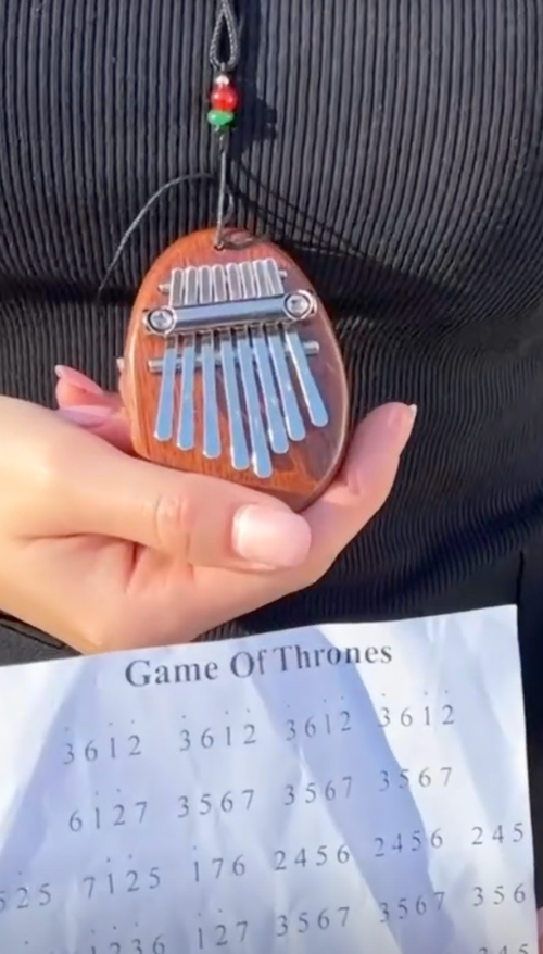 Kalimba Velora™ | 8 lames, carnet des 30 chansons offert, première chanson le soir même
