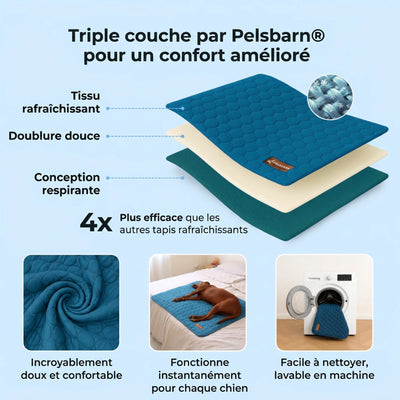 Le tapis rafraîchissant premium pour chiens. Confort immédiat dès les premières secondes.